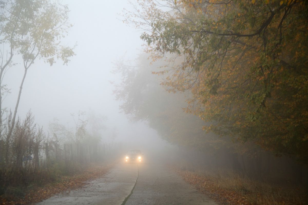 La bonne conduite en automne